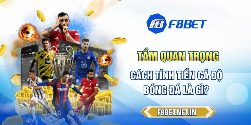 Tầm quan trọng về cách tính tiền cá độ bóng đá